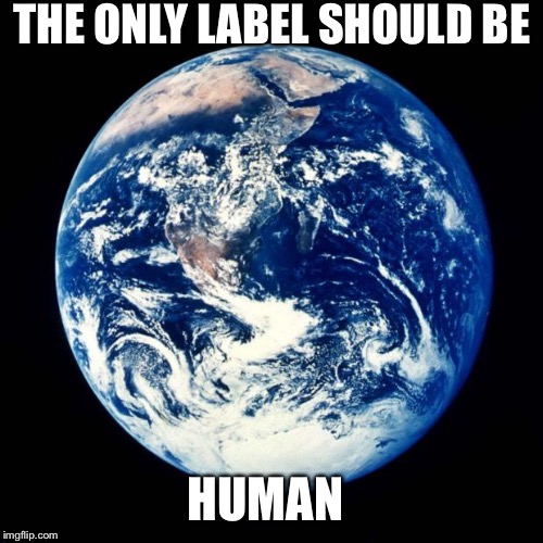 Earth | THE ONLY LABEL SHOULD BE; HUMAN | image tagged in earth | made w/ Imgflip meme maker
