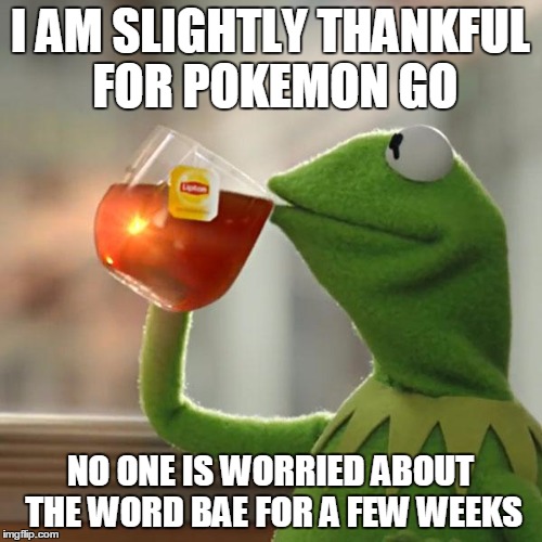 But That's None Of My Business Meme | I AM SLIGHTLY THANKFUL FOR POKEMON GO NO ONE IS WORRIED ABOUT THE WORD BAE FOR A FEW WEEKS | image tagged in memes,but thats none of my business,kermit the frog | made w/ Imgflip meme maker