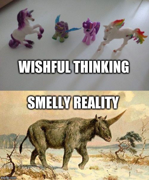 WISHFUL THINKING; SMELLY REALITY | made w/ Imgflip meme maker