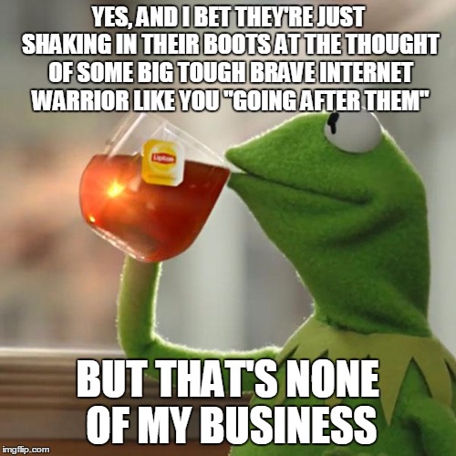 But That's None Of My Business Meme | YES, AND I BET THEY'RE JUST SHAKING IN THEIR BOOTS AT THE THOUGHT OF SOME BIG TOUGH BRAVE INTERNET WARRIOR LIKE YOU "GOING AFTER THEM" BUT T | image tagged in memes,but thats none of my business,kermit the frog | made w/ Imgflip meme maker