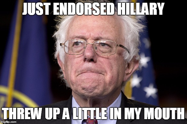Bernie Sanders | JUST ENDORSED HILLARY; THREW UP A LITTLE IN MY MOUTH | image tagged in bernie sanders | made w/ Imgflip meme maker
