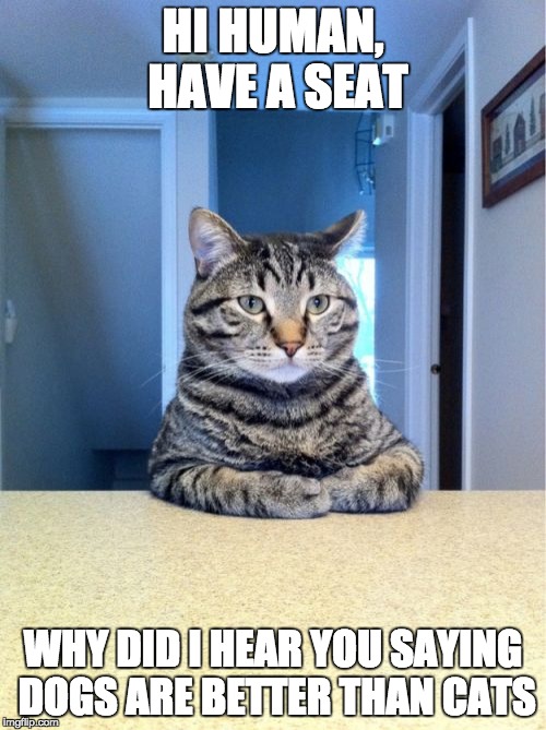 Take A Seat Cat | HI HUMAN, HAVE A SEAT; WHY DID I HEAR YOU SAYING DOGS ARE BETTER THAN CATS | image tagged in memes,take a seat cat | made w/ Imgflip meme maker
