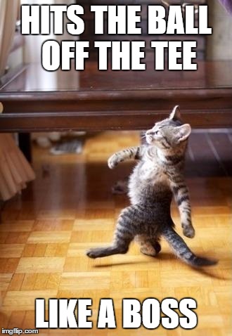 Cool Cat Stroll | HITS THE BALL OFF THE TEE; LIKE A BOSS | image tagged in memes,cool cat stroll | made w/ Imgflip meme maker