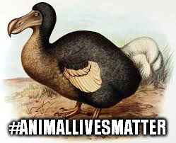 #ANIMALLIVESMATTER | image tagged in animallivesmatter | made w/ Imgflip meme maker