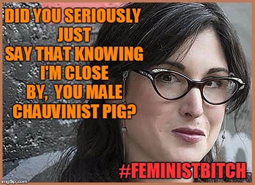 feminist Zeisler | DID YOU SERIOUSLY JUST SAY THAT KNOWING I'M CLOSE BY,  YOU MALE CHAUVINIST PIG? #FEMINISTB**CH | image tagged in feminist zeisler | made w/ Imgflip meme maker