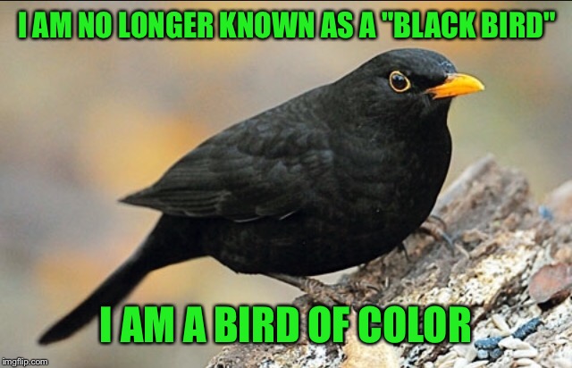 I AM NO LONGER KNOWN AS A "BLACK BIRD" I AM A BIRD OF COLOR | made w/ Imgflip meme maker