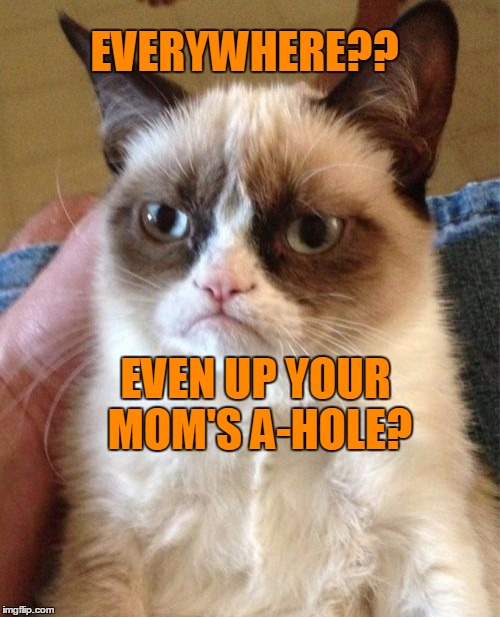 Grumpy Cat Meme | EVERYWHERE?? EVEN UP YOUR MOM'S A-HOLE? | image tagged in memes,grumpy cat | made w/ Imgflip meme maker