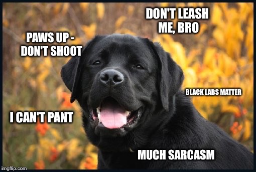 If Obama Had A Doge | DON'T LEASH ME, BRO; PAWS UP - DON'T SHOOT; BLACK LABS MATTER; I CAN'T PANT; MUCH SARCASM | image tagged in doge | made w/ Imgflip meme maker