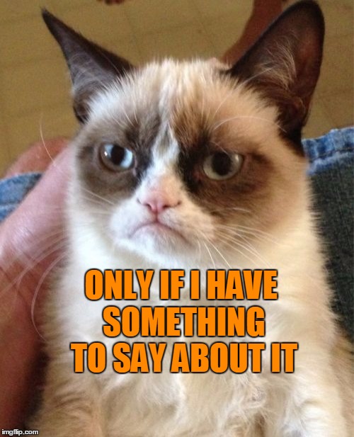 Grumpy Cat Meme | ONLY IF I HAVE SOMETHING TO SAY ABOUT IT | image tagged in memes,grumpy cat | made w/ Imgflip meme maker
