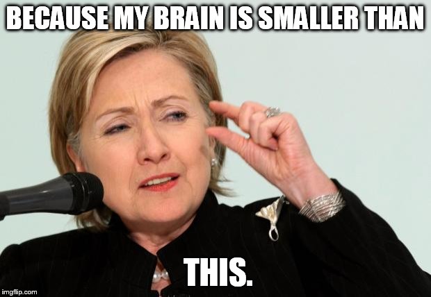 Hillary Clinton Fingers | BECAUSE MY BRAIN IS SMALLER THAN; THIS. | image tagged in hillary clinton fingers | made w/ Imgflip meme maker