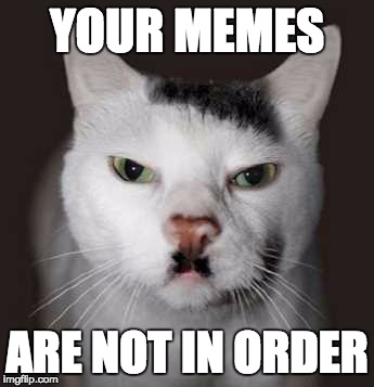 Facebook Meme Nazi | YOUR MEMES; ARE NOT IN ORDER | image tagged in nazi cat,facebook,memes | made w/ Imgflip meme maker
