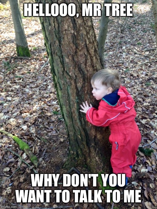 HELLOOO, MR TREE; WHY DON'T YOU WANT TO TALK TO ME | image tagged in mr tree | made w/ Imgflip meme maker
