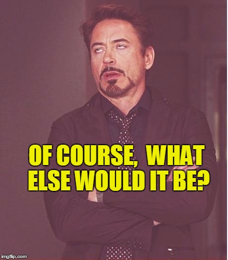 Face You Make Robert Downey Jr Meme | OF COURSE,  WHAT ELSE WOULD IT BE? | image tagged in memes,face you make robert downey jr | made w/ Imgflip meme maker