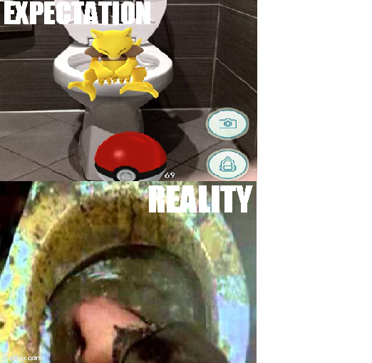 Pokemon GoExpectation vs Reality | EXPECTATION; REALITY | image tagged in pokemon go,pokemon,expectation vs reality,addiction,funny memes,rare | made w/ Imgflip meme maker