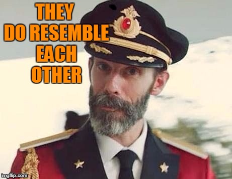 Captain Obvious | THEY DO RESEMBLE EACH OTHER | image tagged in captain obvious | made w/ Imgflip meme maker