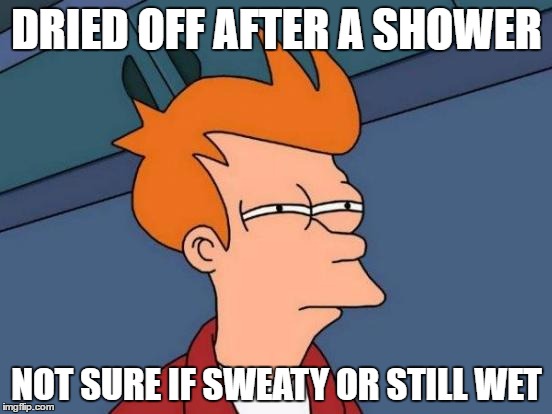 Southern Humidity  | DRIED OFF AFTER A SHOWER; NOT SURE IF SWEATY OR STILL WET | image tagged in memes,futurama fry | made w/ Imgflip meme maker