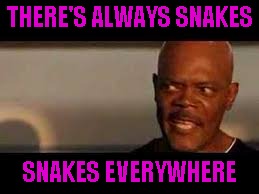 THERE'S ALWAYS SNAKES SNAKES EVERYWHERE | made w/ Imgflip meme maker