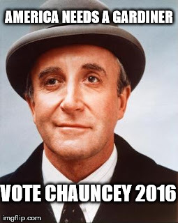 Chance | AMERICA NEEDS A GARDINER; VOTE CHAUNCEY 2016 | image tagged in chance | made w/ Imgflip meme maker