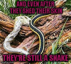 AND EVEN AFTER THEY SHED THEIR SKIN THEY'RE STILL A SNAKE | made w/ Imgflip meme maker