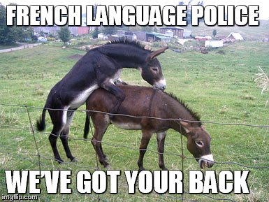 Quebec Language Police  |  FRENCH LANGUAGE POLICE; WE’VE GOT YOUR BACK | image tagged in oqlf,french,quebec,language,discrimination,ass | made w/ Imgflip meme maker