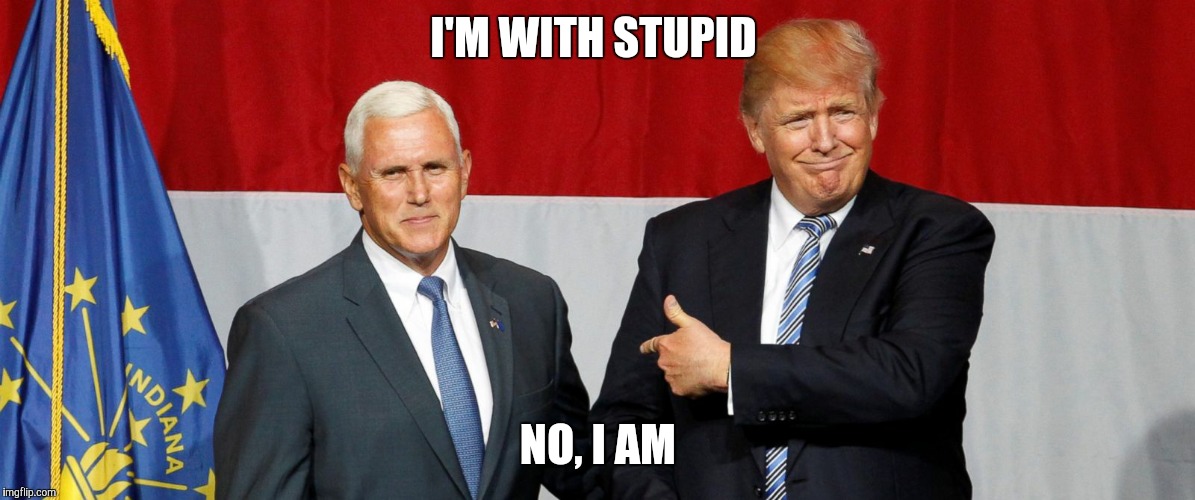 I'M WITH STUPID; NO, I AM | image tagged in veep | made w/ Imgflip meme maker