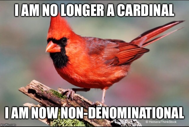 I AM NO LONGER A CARDINAL I AM NOW NON-DENOMINATIONAL | made w/ Imgflip meme maker