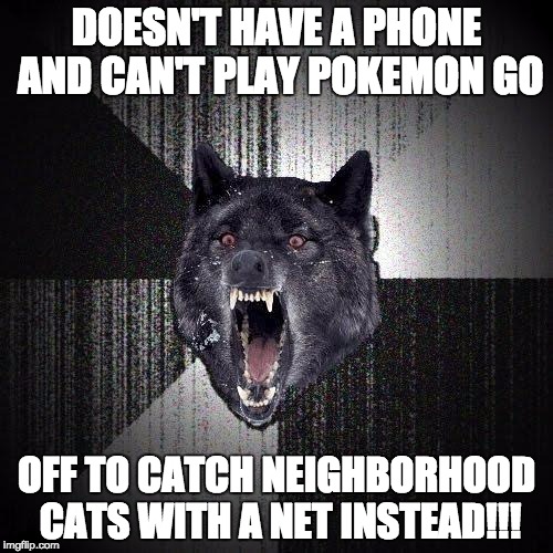 Insanity Wolf Meme | DOESN'T HAVE A PHONE AND CAN'T PLAY POKEMON GO; OFF TO CATCH NEIGHBORHOOD CATS WITH A NET INSTEAD!!! | image tagged in memes,insanity wolf,AdviceAnimals | made w/ Imgflip meme maker