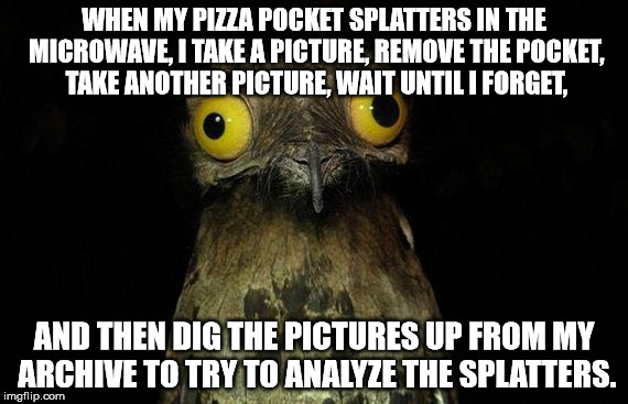 Weird Stuff I Do Potoo | WHEN MY PIZZA POCKET SPLATTERS IN THE MICROWAVE, I TAKE A PICTURE, REMOVE THE POCKET, TAKE ANOTHER PICTURE, WAIT UNTIL I FORGET, AND THEN DIG THE PICTURES UP FROM MY ARCHIVE TO TRY TO ANALYZE THE SPLATTERS. | image tagged in memes,weird stuff i do potoo | made w/ Imgflip meme maker