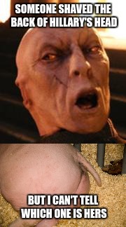 SOMEONE SHAVED THE BACK OF HILLARY'S HEAD; BUT I CAN'T TELL WHICH ONE IS HERS | image tagged in voldemort,pig | made w/ Imgflip meme maker