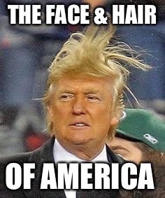 Make America great again- Trump | THE FACE & HAIR; OF AMERICA | image tagged in wut | made w/ Imgflip meme maker