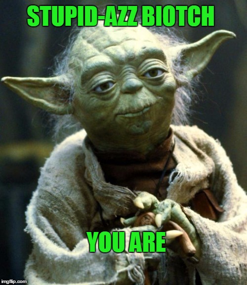 Star Wars Yoda Meme | STUPID-AZZ BIOTCH YOU ARE | image tagged in memes,star wars yoda | made w/ Imgflip meme maker