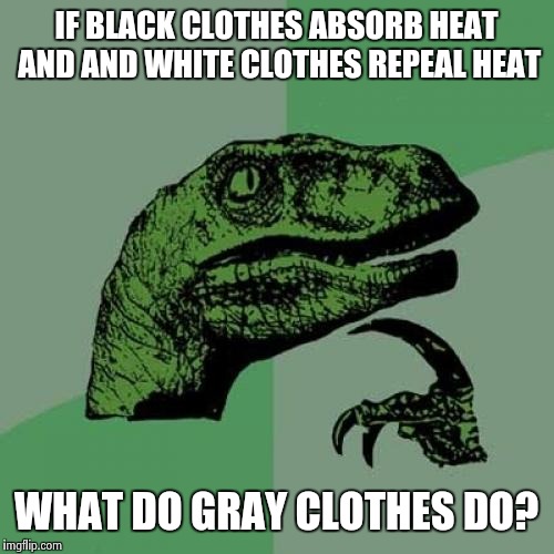 Philosoraptor | IF BLACK CLOTHES ABSORB HEAT AND AND WHITE CLOTHES REPEAL HEAT; WHAT DO GRAY CLOTHES DO? | image tagged in memes,philosoraptor | made w/ Imgflip meme maker