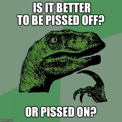 Philosoraptor | IS IT BETTER TO BE PISSED OFF? OR PISSED ON? | image tagged in memes,philosoraptor | made w/ Imgflip meme maker