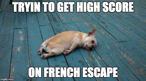 tired dog | TRYIN TO GET HIGH SCORE; ON FRENCH ESCAPE | image tagged in tired dog | made w/ Imgflip meme maker