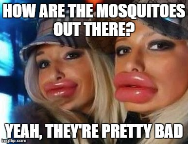 They were hiding in the tall grass | HOW ARE THE MOSQUITOES OUT THERE? YEAH, THEY'RE PRETTY BAD | image tagged in memes,duck face chicks | made w/ Imgflip meme maker