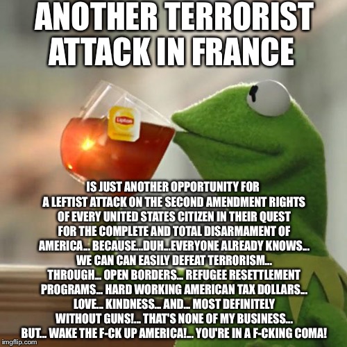 A Junior Varsity Administration  | ANOTHER TERRORIST ATTACK IN FRANCE; IS JUST ANOTHER OPPORTUNITY FOR A LEFTIST ATTACK ON THE SECOND AMENDMENT RIGHTS OF EVERY UNITED STATES CITIZEN IN THEIR QUEST FOR THE COMPLETE AND TOTAL DISARMAMENT OF AMERICA... BECAUSE...DUH...EVERYONE ALREADY KNOWS... WE CAN CAN EASILY DEFEAT TERRORISM... THROUGH... OPEN BORDERS... REFUGEE RESETTLEMENT PROGRAMS... HARD WORKING AMERICAN TAX DOLLARS... LOVE... KINDNESS... AND... MOST DEFINITELY WITHOUT GUNS!... THAT'S NONE OF MY BUSINESS... BUT... WAKE THE F-CK UP AMERICA!... YOU'RE IN A F-CKING COMA! | image tagged in kermit the frog,terrorism,isis,obama,political meme,france | made w/ Imgflip meme maker