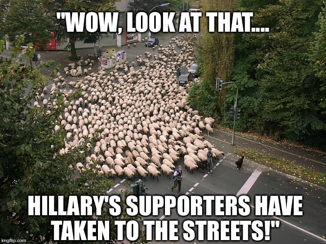 Hillary Clinton's Flock | "WOW, LOOK AT THAT.... HILLARY'S SUPPORTERS HAVE TAKEN TO THE STREETS!" | image tagged in hillaryclinton,neverclinton,hillno,notwithher,clinton,hillary | made w/ Imgflip meme maker