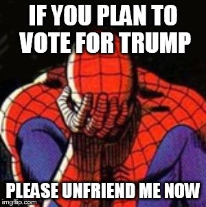 Sad Spiderman | IF YOU PLAN TO VOTE FOR TRUMP; PLEASE UNFRIEND ME NOW | image tagged in memes,sad spiderman,spiderman | made w/ Imgflip meme maker