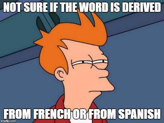Futurama Fry Meme | NOT SURE IF THE WORD IS DERIVED; FROM FRENCH OR FROM SPANISH | image tagged in memes,futurama fry | made w/ Imgflip meme maker