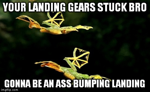 YOUR LANDING GEARS STUCK BRO GONNA BE AN ASS BUMPING LANDING | made w/ Imgflip meme maker