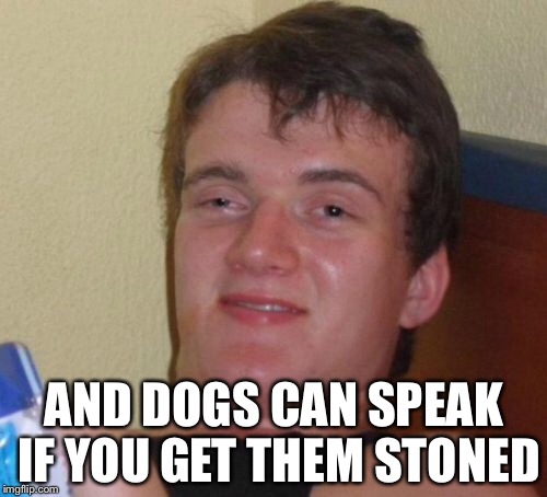 10 Guy Meme | AND DOGS CAN SPEAK IF YOU GET THEM STONED | image tagged in memes,10 guy | made w/ Imgflip meme maker