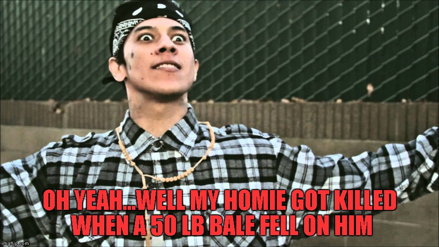 OH YEAH...WELL MY HOMIE GOT KILLED WHEN A 50 LB BALE FELL ON HIM | made w/ Imgflip meme maker