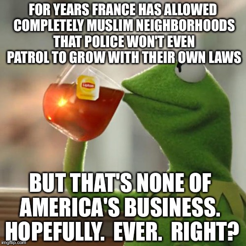 F@&# ISIS. And France needs to drop the hammer. | FOR YEARS FRANCE HAS ALLOWED COMPLETELY MUSLIM NEIGHBORHOODS THAT POLICE WON'T EVEN PATROL TO GROW WITH THEIR OWN LAWS; BUT THAT'S NONE OF AMERICA'S BUSINESS.  HOPEFULLY.  EVER.  RIGHT? | image tagged in memes,but thats none of my business,kermit the frog,muslims,france,shooting | made w/ Imgflip meme maker