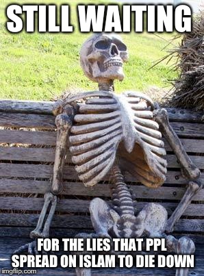 Waiting Skeleton | STILL WAITING; FOR THE LIES THAT PPL SPREAD ON ISLAM TO DIE DOWN | image tagged in memes,waiting skeleton | made w/ Imgflip meme maker