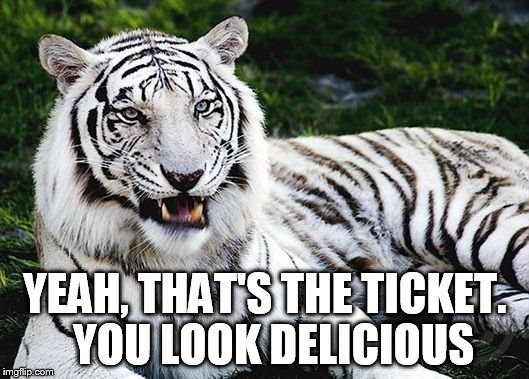YEAH, THAT'S THE TICKET.  YOU LOOK DELICIOUS | made w/ Imgflip meme maker