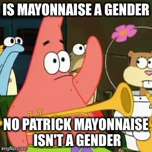 No Patrick Meme | IS MAYONNAISE A GENDER; NO PATRICK MAYONNAISE ISN'T A GENDER | image tagged in memes,no patrick | made w/ Imgflip meme maker