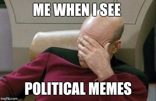 Captain Picard Facepalm Meme | ME WHEN I SEE POLITICAL MEMES | image tagged in memes,captain picard facepalm | made w/ Imgflip meme maker
