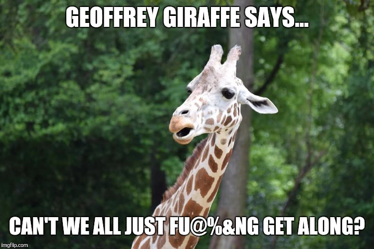 Geoffrey Giraffe  | GEOFFREY GIRAFFE SAYS... CAN'T WE ALL JUST FU@%&NG GET ALONG? | image tagged in memes | made w/ Imgflip meme maker
