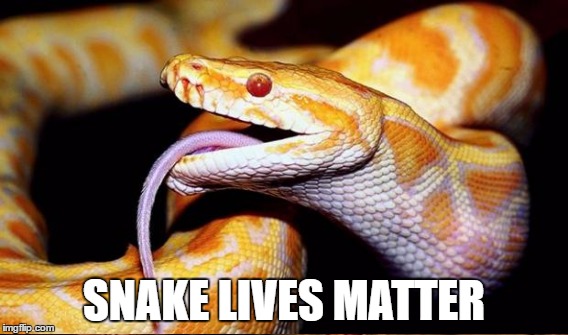 SNAKE LIVES MATTER | made w/ Imgflip meme maker