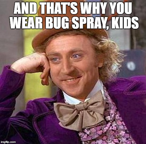 Creepy Condescending Wonka Meme | AND THAT'S WHY YOU WEAR BUG SPRAY, KIDS | image tagged in memes,creepy condescending wonka | made w/ Imgflip meme maker